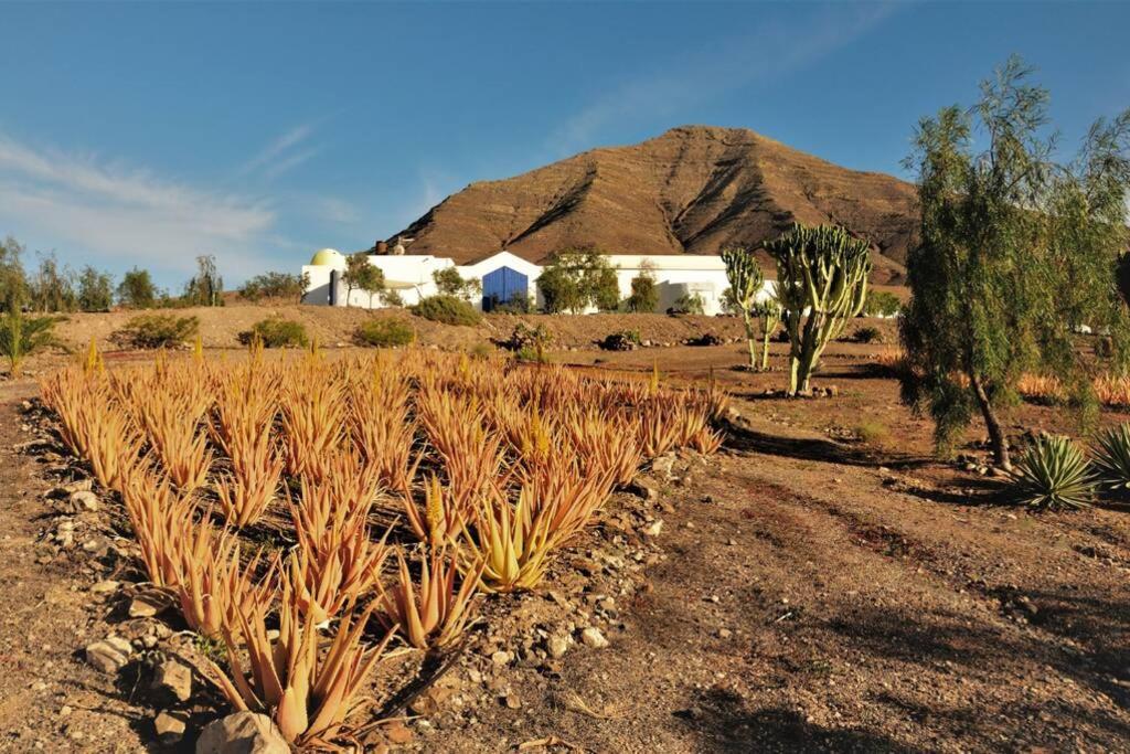 Romantica Fuego - Eco Retreat Finca Artis Tirma Tarajalejo Exterior foto